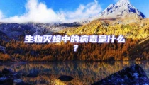 生物灭蟑中的病毒是什么?
