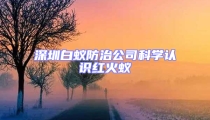 深圳白蚁防治公司科学认识红火蚁