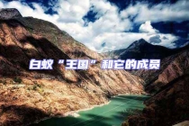 白蚁“王国”和它的成员