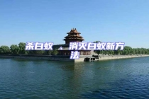 杀白蚁 、消灭白蚁新方法