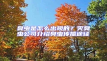 臭虫是怎么出现的?灭臭虫公司介绍臭虫传播途径