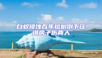 白蚁侵蚀百年榕树倒下压塌房子伤两人