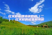 红火蚁管理培训教程（二）：红火蚁的检查和预防