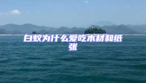 白蚁为什么爱吃木材和纸张