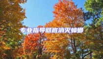 专业指导彻底消灭蟑螂