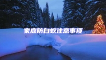 家庭防白蚁注意事项