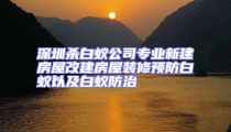 深圳杀白蚁公司专业新建房屋改建房屋装修预防白蚁以及白蚁防治