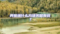 养殖场什么方法灭鼠有效？