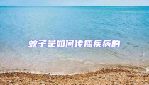 蚊子是如何传播疾病的