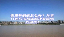 家里有蚂蚁怎么办?分享几种方法帮你解决家庭蚂蚁困扰!