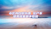 小区内白蚁为患 住户不堪其扰家都不敢回