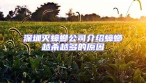 深圳灭蟑螂公司介绍蟑螂越杀越多的原因