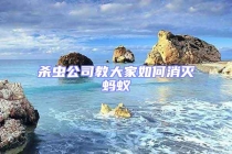杀虫公司教大家如何消灭蚂蚁