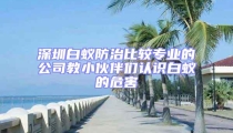深圳白蚁防治比较专业的公司教小伙伴们认识白蚁的危害