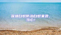 深圳白蚁防治白蚁来袭，当心！