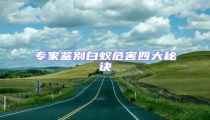 专家鉴别白蚁危害四大秘诀