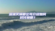 深圳灭蟑螂公司介绍如何对付蟑螂?