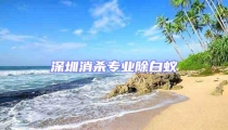 深圳消杀专业除白蚁
