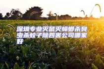 深圳专业灭鼠灭蟑螂杀臭虫杀蚊子除四害公司哪家好