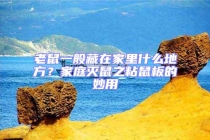 老鼠一般藏在家里什么地方？家庭灭鼠之粘鼠板的妙用