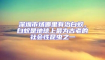 深圳市场哪里有治白蚁，白蚁是地球上最为古老的社会性昆虫之一