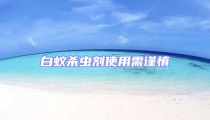 白蚁杀虫剂使用需谨慎
