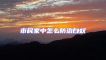 市民家中怎么防治白蚁