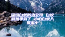 深圳白蚁防治公司 白蚁繁殖季到了 小心白蚁入侵家中