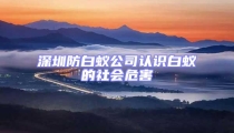 深圳防白蚁公司认识白蚁的社会危害