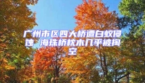 广州市区四大桥遭白蚁侵蚀 海珠桥枕木几乎被掏空