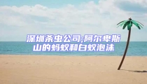 深圳杀虫公司;阿尔卑斯山的蚂蚁和白蚁泡沫