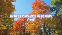 深圳白蚁防治公司装修防白蚁