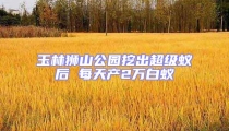 玉林狮山公园挖出超级蚁后 每天产2万白蚁