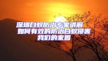 深圳白蚁防治专家讲解  如何有效的防治白蚁侵害我们的家园