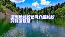 深圳除蚂蚁公司介绍蚂蚁的群体智慧
