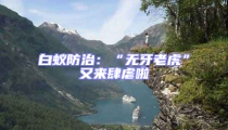 白蚁防治:“无牙老虎”又来肆虐啦