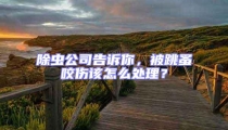 除虫公司告诉你，被跳蚤咬伤该怎么处理？