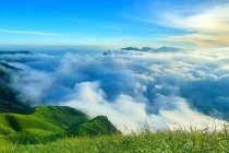 深圳杀虫公司消灭蚂蚁有妙招
