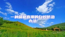 一种简略有用的白蚁防治办法
