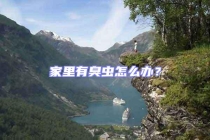 家里有臭虫怎么办？