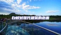白蚁对现代建筑的危害