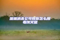 深圳消杀公司教你怎么用毒饵灭鼠