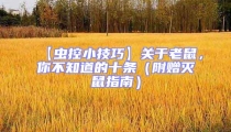 【虫控小技巧】关于老鼠,你不知道的十条(附赠灭鼠指南)