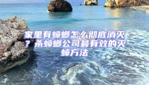 家里有蟑螂怎么彻底消灭?杀蟑螂公司最有效的灭蟑方法