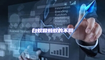 白蚁和蚂蚁的不同