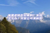 家里老鼠怎么来的？发现怎么办？灭鼠公司来解答