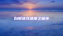 白蚁进攻速度之极快