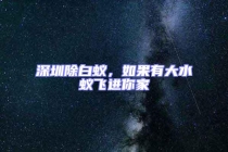 深圳除白蚁，如果有大水蚁飞进你家