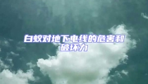 白蚁对地下电线的危害和破坏力