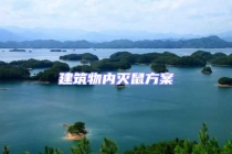 建筑物内灭鼠方案